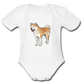 Body Bambino Brand akitA